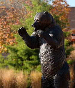 The bronze bear statue on campus